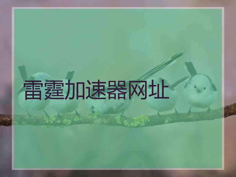 雷霆加速器网址