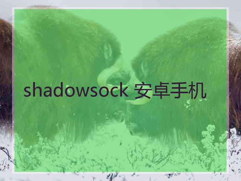 shadowsock 安卓手机