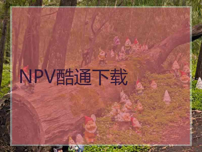 NPV酷通下载