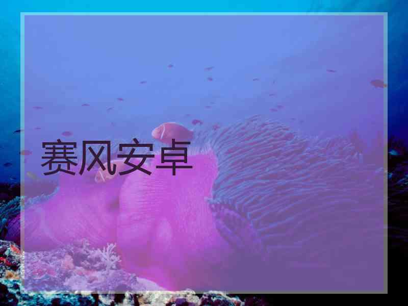 赛风安卓