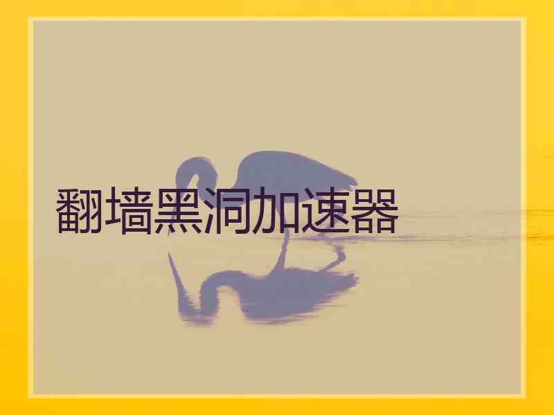 翻墙黑洞加速器