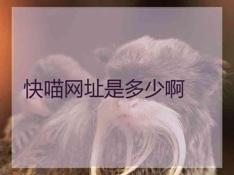 快喵网址是多少啊