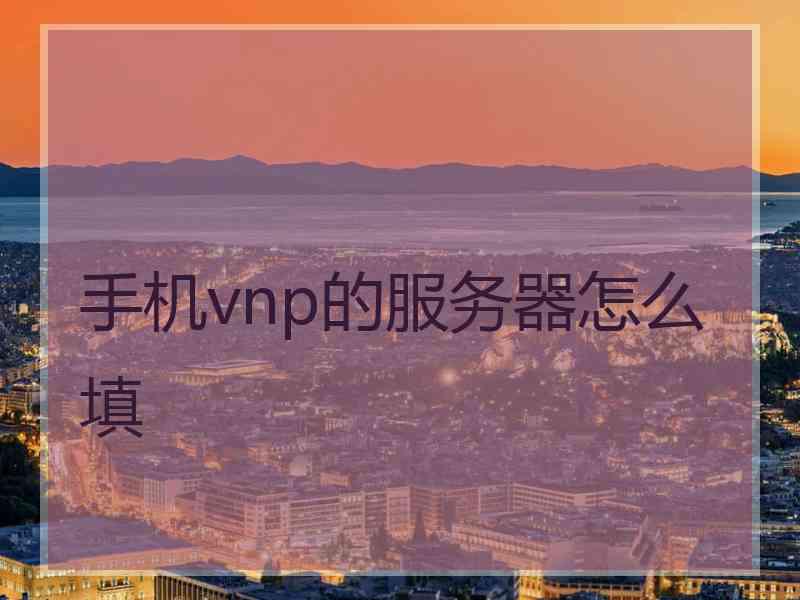 手机vnp的服务器怎么填
