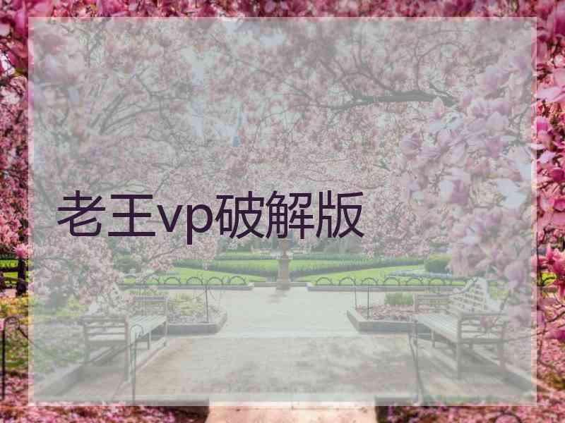 老王vp破解版