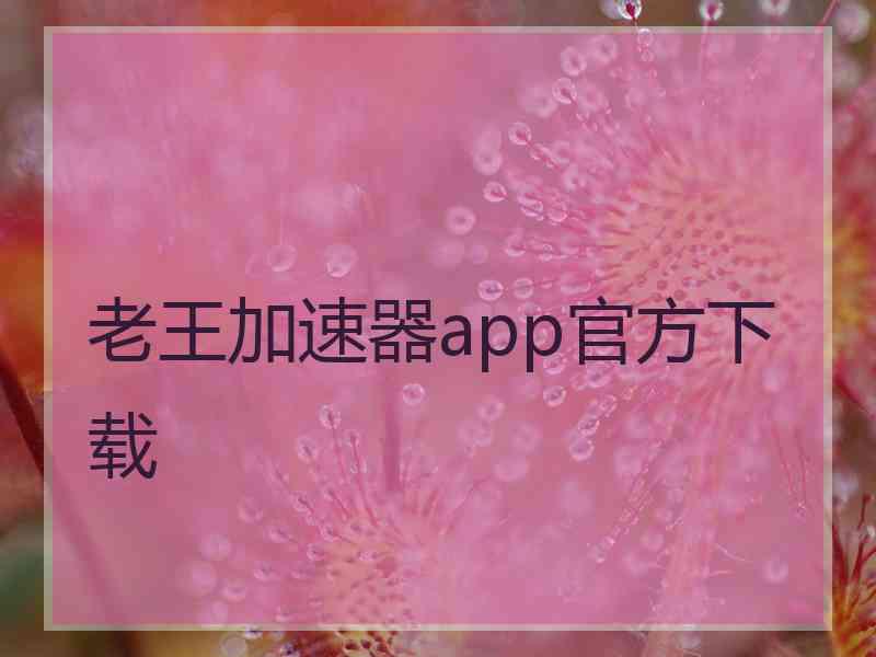 老王加速器app官方下载