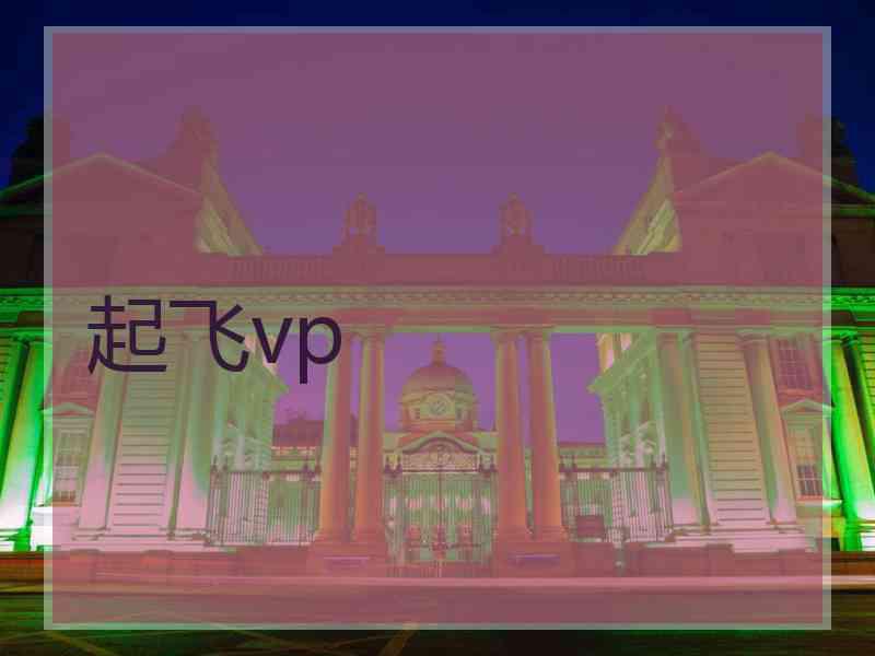 起飞vp