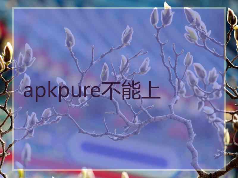 apkpure不能上