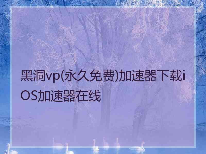 黑洞vp(永久免费)加速器下载iOS加速器在线