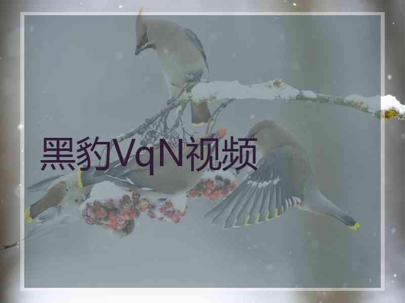 黑豹VqN视频