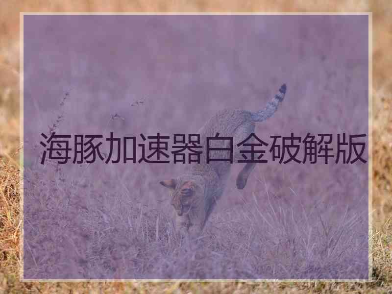 海豚加速器白金破解版