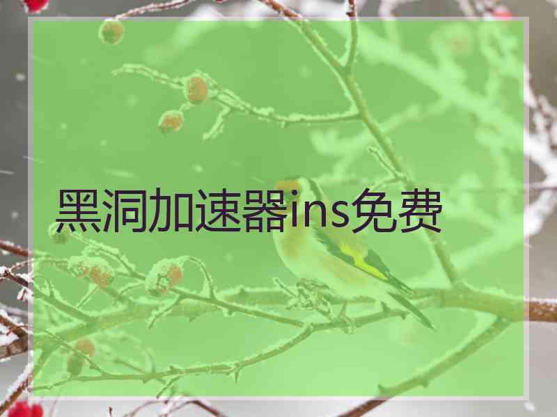 黑洞加速器ins免费