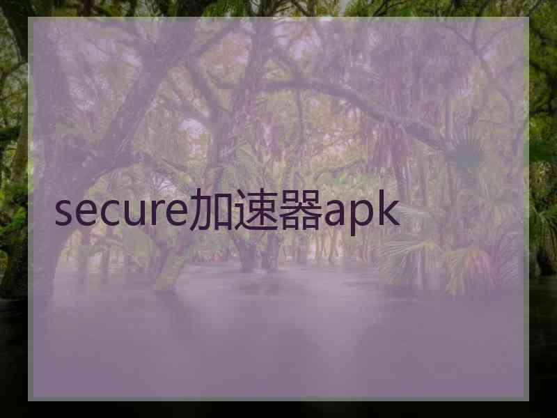secure加速器apk