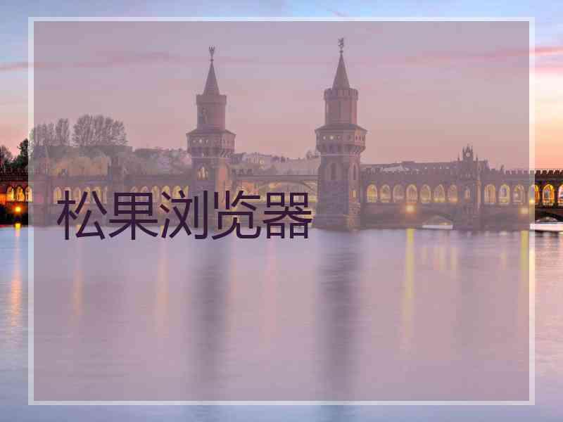 松果浏览器
