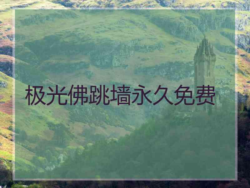 极光佛跳墙永久免费
