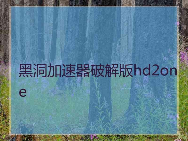 黑洞加速器破解版hd2one