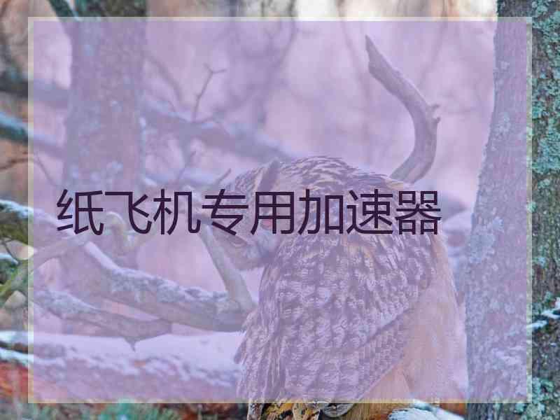 纸飞机专用加速器