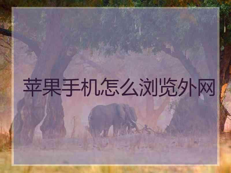 苹果手机怎么浏览外网