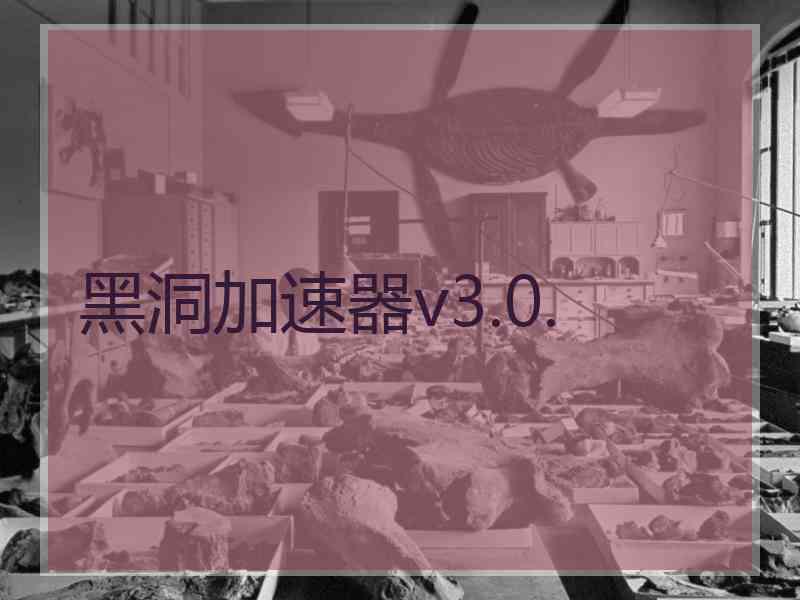黑洞加速器v3.0.