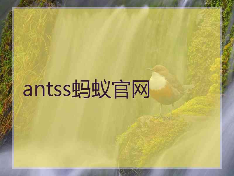 antss蚂蚁官网