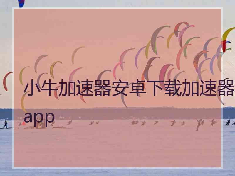 小牛加速器安卓下载加速器app