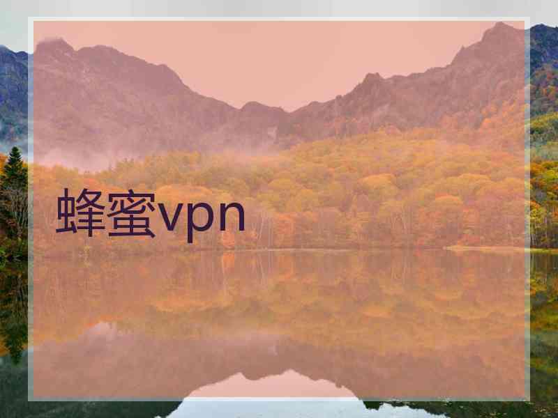 蜂蜜vpn
