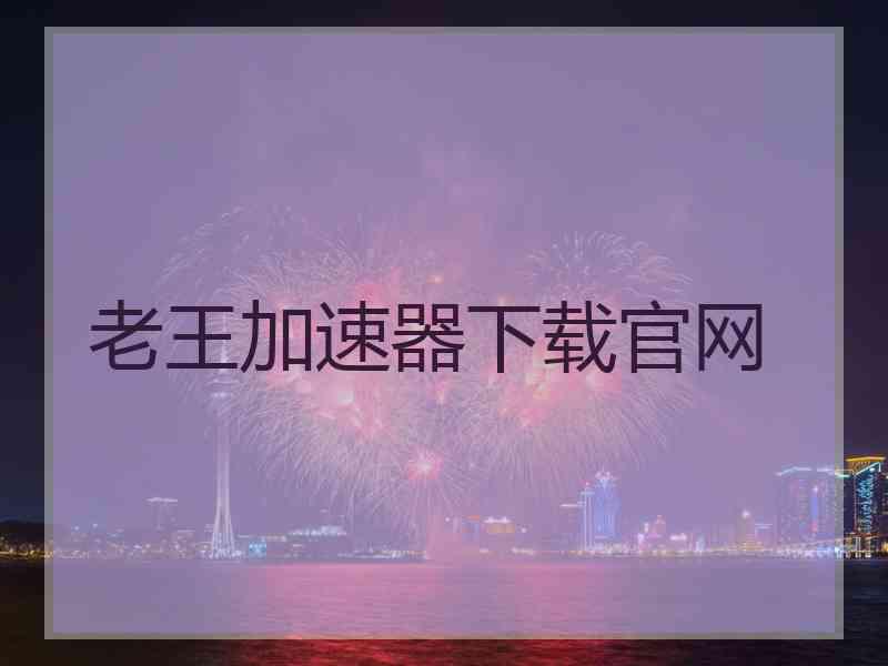 老王加速器下载官网