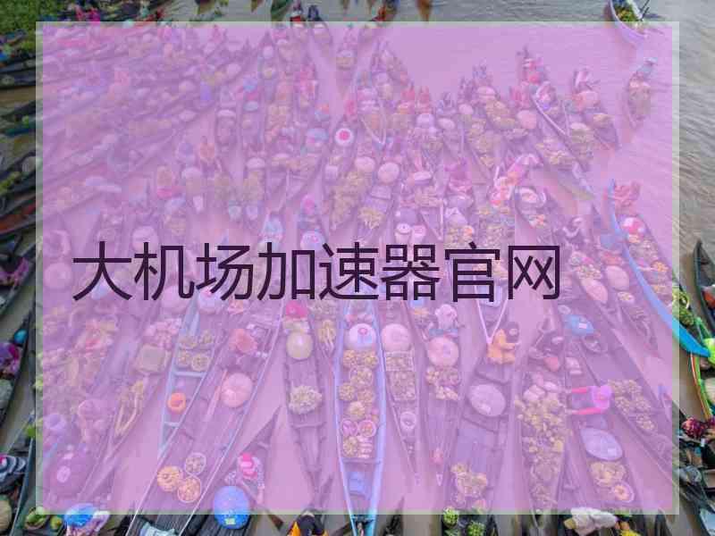 大机场加速器官网