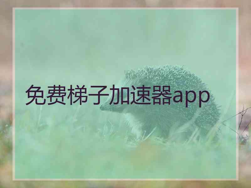 免费梯子加速器app
