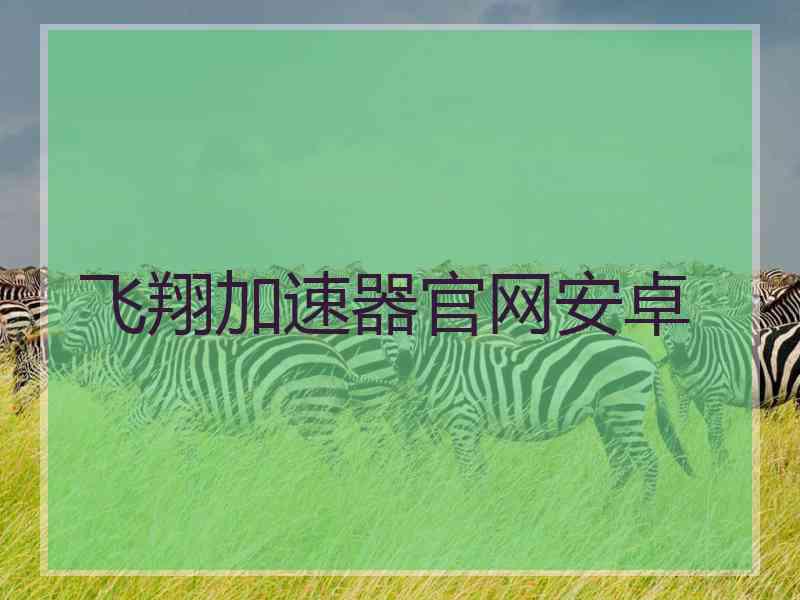 飞翔加速器官网安卓