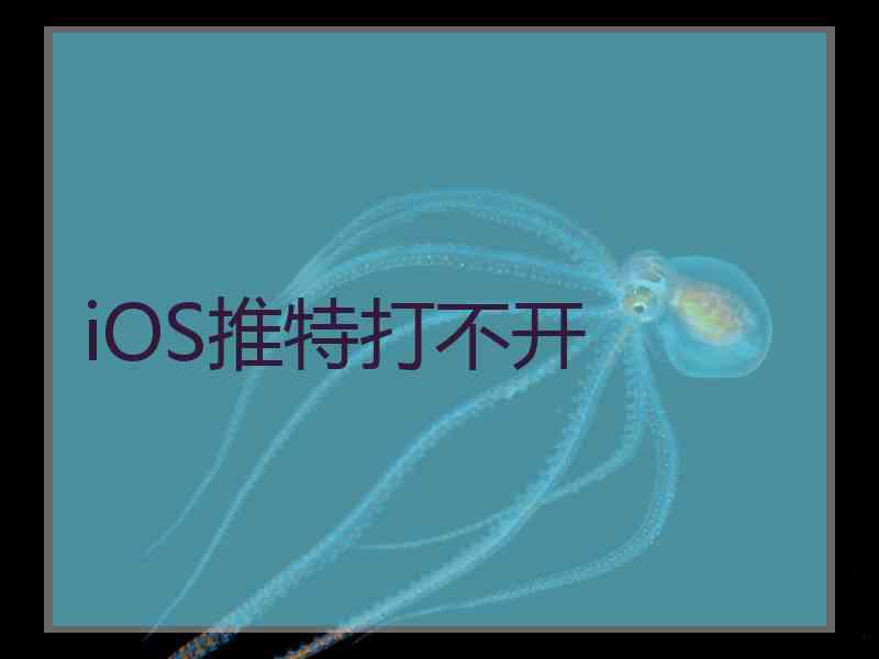 iOS推特打不开