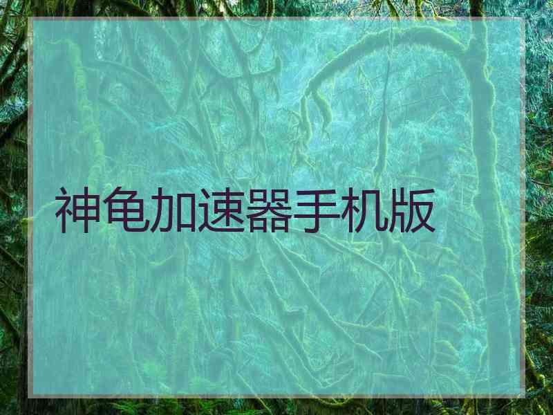 神龟加速器手机版