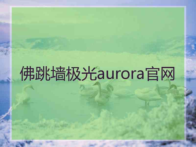 佛跳墙极光aurora官网