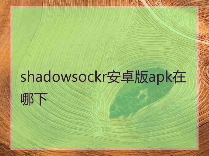 shadowsockr安卓版apk在哪下