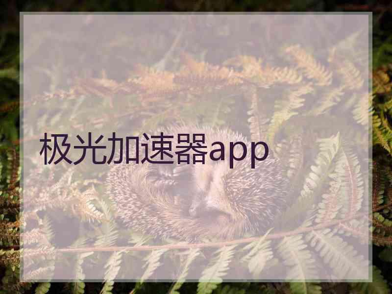 极光加速器app
