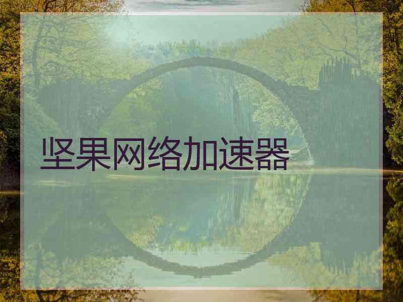 坚果网络加速器