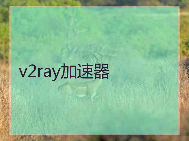 v2ray加速器