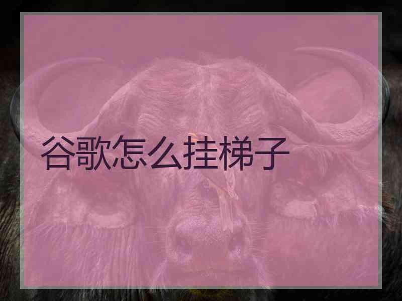 谷歌怎么挂梯子
