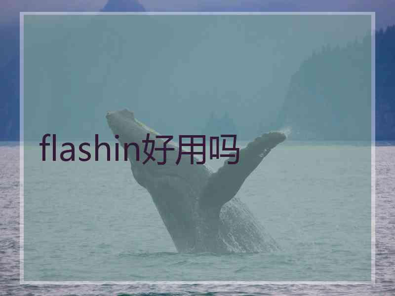 flashin好用吗