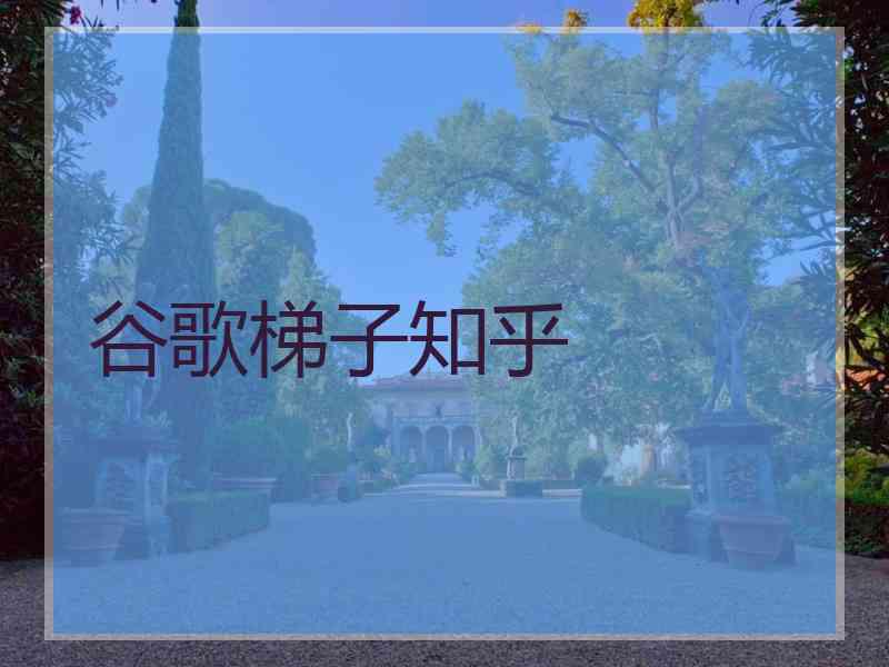 谷歌梯子知乎