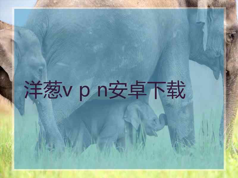 洋葱v p n安卓下载