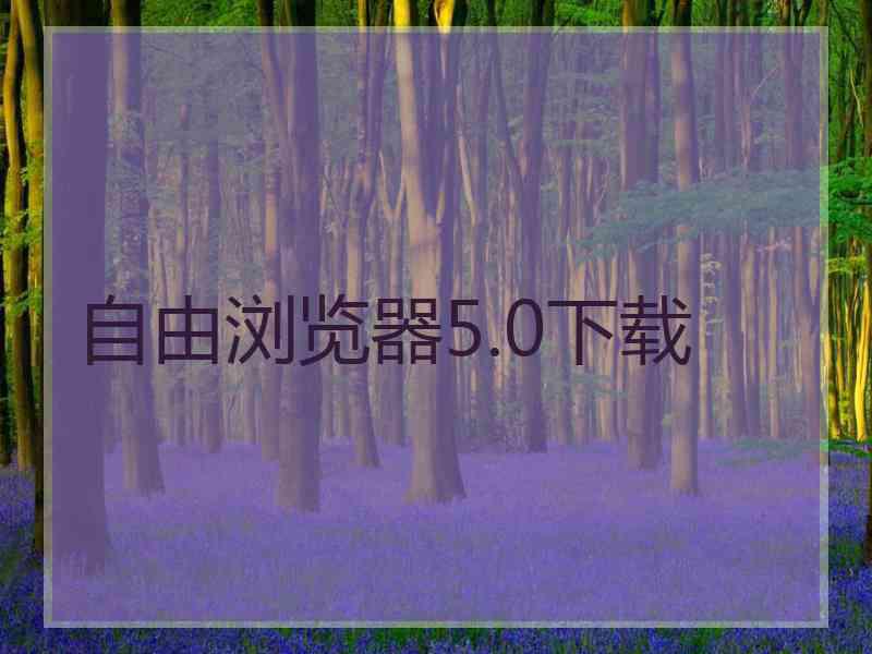 自由浏览器5.0下载
