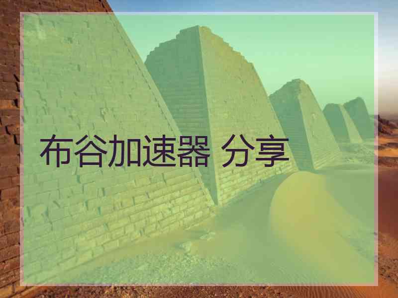 布谷加速器 分享