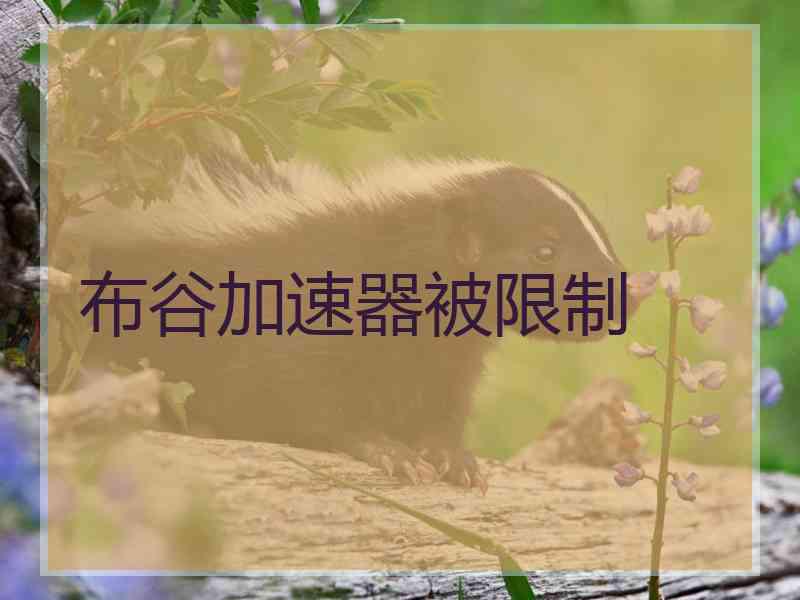布谷加速器被限制