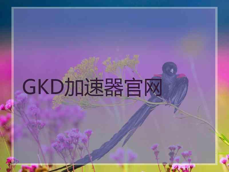 GKD加速器官网