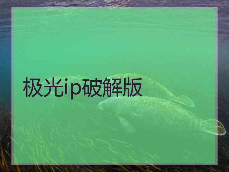 极光ip破解版