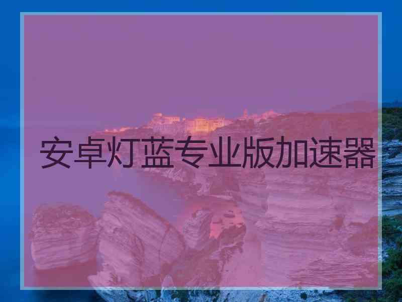 安卓灯蓝专业版加速器