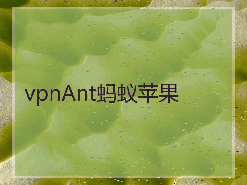 vpnAnt蚂蚁苹果