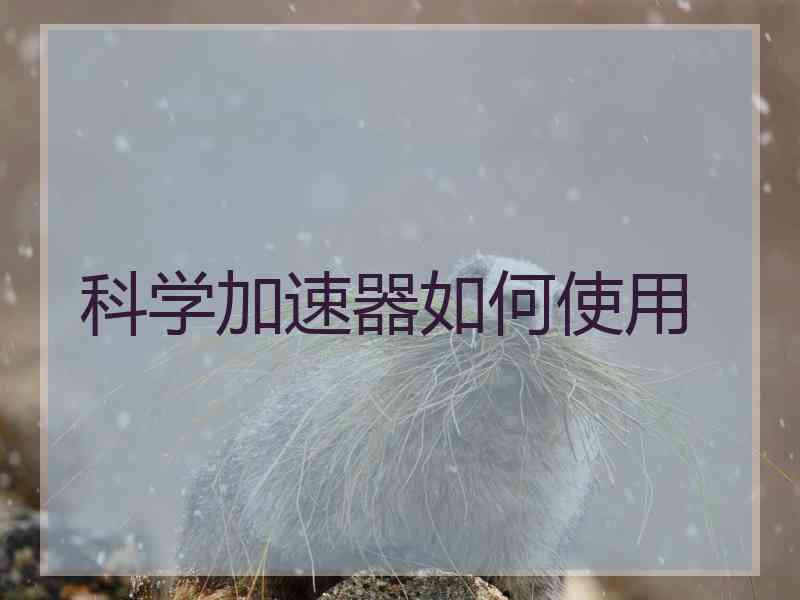 科学加速器如何使用