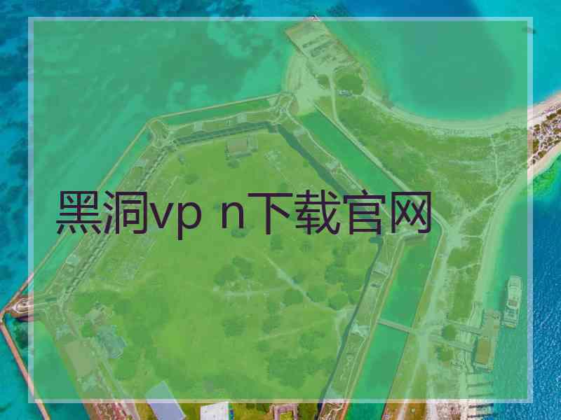 黑洞vp n下载官网