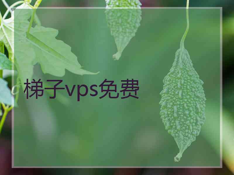 梯子vps免费
